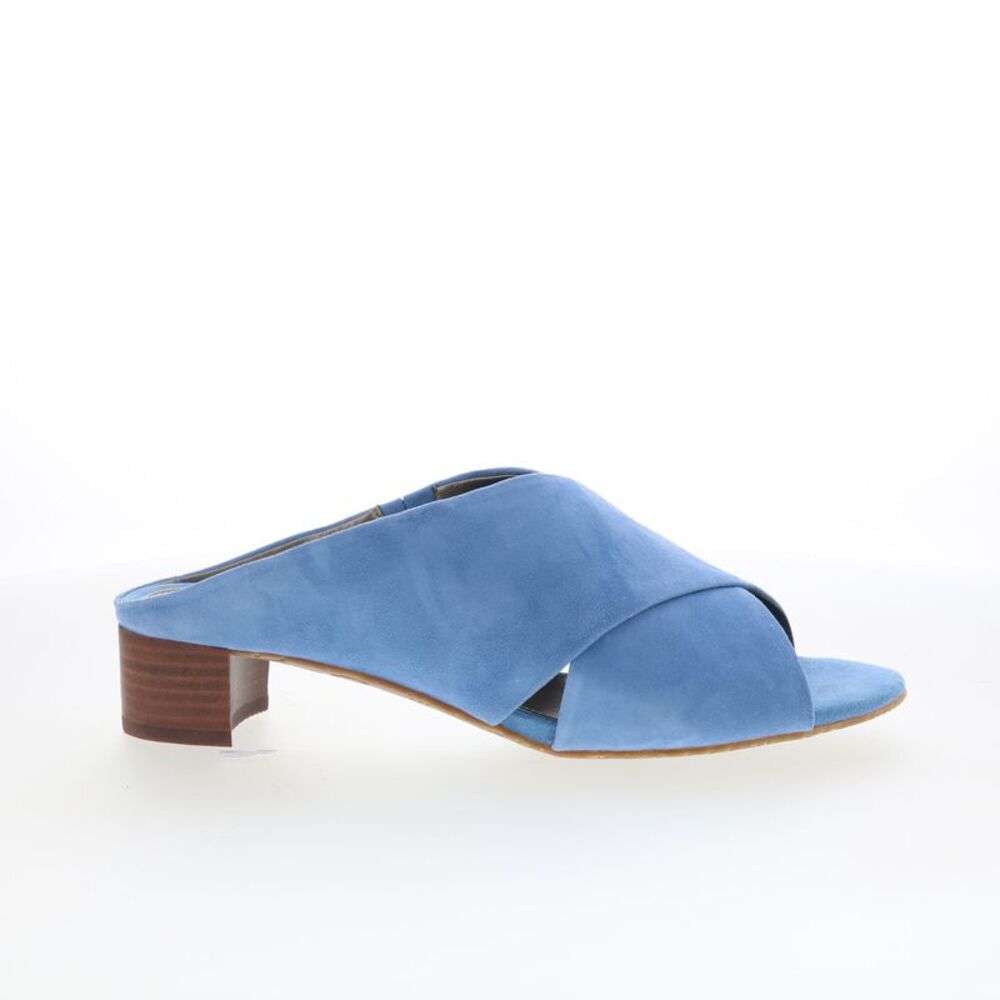 Ros Hommerson Womens Va Va Voom Blue Shoes (NWT)